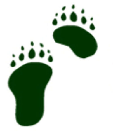 Bear Valley Residents Incorporated